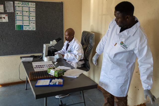 Microscopist Amrstrong Mgiba (L) looks through a microscope as he analyses a blood sample for Malaria next to his colleague Nicholas Skhumbane (R) preparing blood smear slides at the Cunningmore Clinic in Bushbuckridge on May 26, 2026. Human-induced climate change, compounded by the La Nina weather pattern, has intensified extreme rainfall across southern Africa, the National Institute for Communicable Diseases (NICD) said, creating conditions that can fuel malaria transmission long after floodwaters recede.
In Mpumalanga, cases rose fourfold in January compared with a year earlier, jeopardising South Africa's goal of eliminating malaria by 2029. (Photo by EMMANUEL CROSET / AFP)