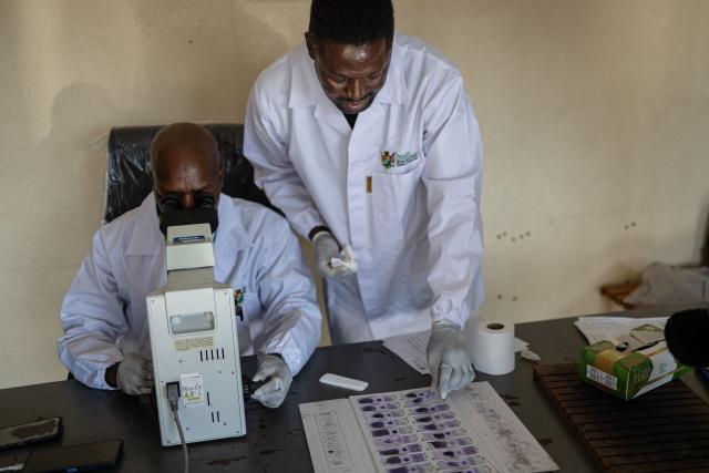 Microscopist Amrstrong Mgiba (L) looks through a microscope as he analyses a blood sample for Malaria next to his colleague Nicholas Skhumbane (R) preparing blood smear slides at the Cunningmore Clinic in Bushbuckridge on May 26, 2026. Human-induced climate change, compounded by the La Nina weather pattern, has intensified extreme rainfall across southern Africa, the National Institute for Communicable Diseases (NICD) said, creating conditions that can fuel malaria transmission long after floodwaters recede.
In Mpumalanga, cases rose fourfold in January compared with a year earlier, jeopardising South Africa's goal of eliminating malaria by 2029. (Photo by EMMANUEL CROSET / AFP)