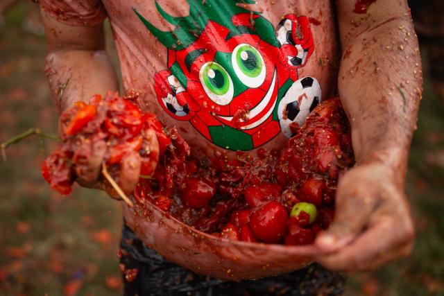 A person grabs tomatoes during the 16th Tomato Fight Festival known as "Tomatina" in Sutamarchan, Boyaca department, Colombia on June 7, 2026. (Photo by ESTEBAN VEGA LA-ROTTA / AFP)