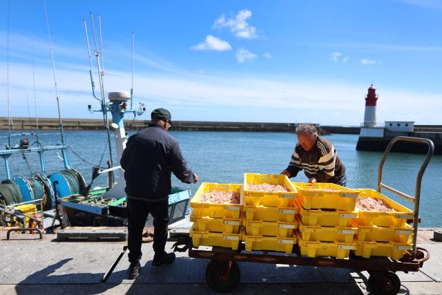 Fishermen unload the catch of the day at the port of Guilvinec, western France on June 8, 2026. (Photo by Fred TANNEAU / AFP)