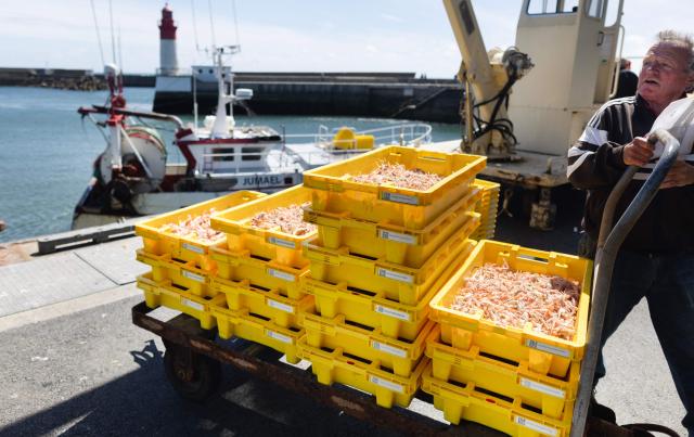 A fisherman unloads the catch of the day at the port of Guilvinec, western France on June 8, 2026. (Photo by Fred TANNEAU / AFP)