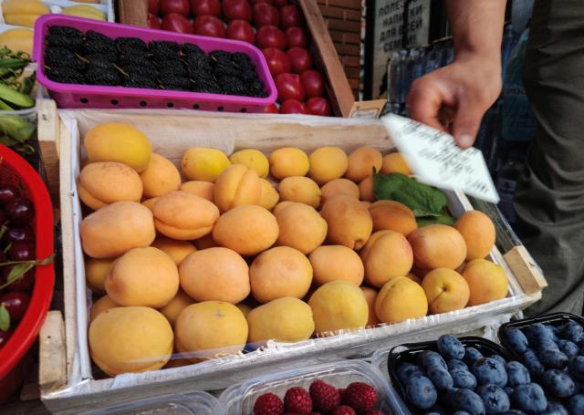 A vendor offers apricots at a market place in Moscow on June 9, 2026. Effective June 2, 2026, Russia has completely banned the import of apricots from Armenia. The restriction also applies to transit through the Russian Federation and affects other stone fruits (cherries, plums, peaches) and a number of other fruits and vegetables. More than 90% of Armenia's apricot exports went to Russia till now. Armenian Prime Minister Nikol Pashinyan's efforts to free Armenia from the influence of its former imperial ruler have angered the Kremlin, which claims the West influenced the election results and the authorities pressured the opposition. (Photo by Alexander NEMENOV / AFP)