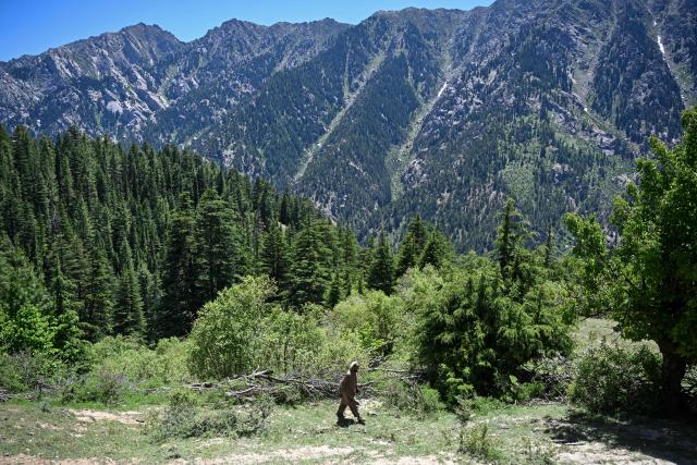An Afghan man walks on a hillside in the Parun district of Afghanistan's Nuristan province on June 9, 2026. (Photo by Wakil KOHSAR / AFP)