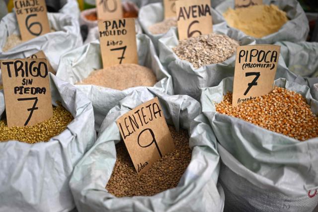 View of legumes and grains for sale at an improvised market along a blocked highway in the Rio Seco area of El Alto, Bolivia, on June 9, 2026. The road, a key transport corridor linking La Paz with Copacabana and the border town of Desaguadero, has been transformed into a bustling marketplace where hundreds of vendors sell food and other goods as anti-government road blockades continue across the country amid growing political tensions and supply shortages. (Photo by Marvin RECINOS / AFP)