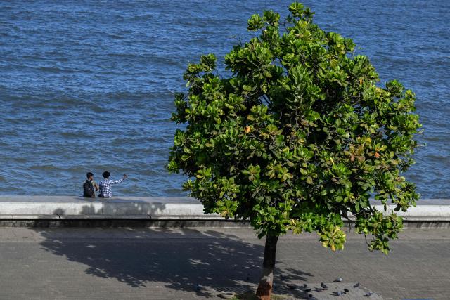 Men take a selfie overlooking the seafront along Marine Drive in Mumbai on June 10, 2026. (Photo by Punit PARANJPE / AFP)