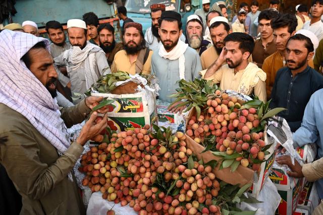 A trader (L) sells lychee at a wholesale market in Peshawar on June 10, 2026. (Photo by Abdul MAJEED / AFP)