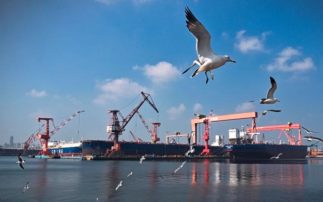 Seagulls fly near the production and operation area of the Dalian Shipbuilding Industrial Group on the coast of Suoyu Bay in Ganjingzi District of Dalian, in northeastern China's Liaoning province on June 10, 2026. (Photo by CN-STR / AFP) / China OUT