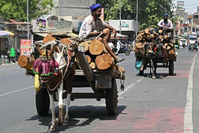 Workers transport logs of wood on horse-drawn carts along a street in Amritsar on June 10, 2026. (Photo by Narinder NANU / AFP)