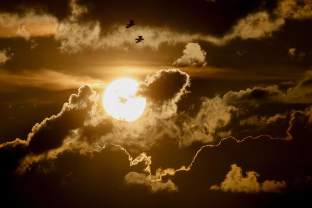 Birds fly past as the sun sets behind the clouds in Berlin on June 10, 2026. (Photo by David GANNON / AFP)