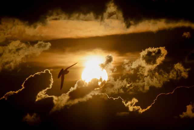 A bird flies past as the sun sets behind the clouds in Berlin on June 10, 2026. (Photo by David GANNON / AFP)