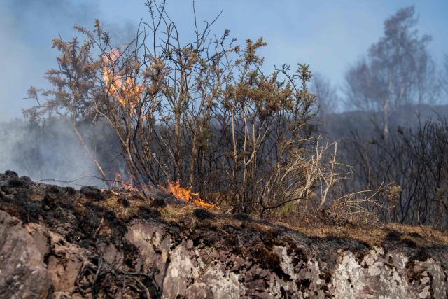 (FILES) This picture taken August 12, 2022, shows vegetation burning in a moor during a wildfire in Campeneac, Brittany, western France. Under a fine drizzle, you have to imagine a parched forest in flames: in Morbihan, firefighters from Brittany are training to fight a forest fire, a risk that is increasing in the region because of global warming. (Photo by FRED TANNEAU / AFP)