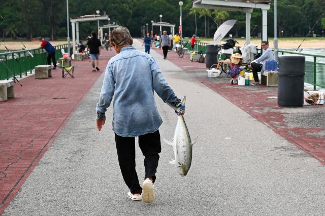 An angler carries a fish caught from a jetty at East Coast Park in Singapore on June 11, 2026. (Photo by Roslan RAHMAN / AFP)