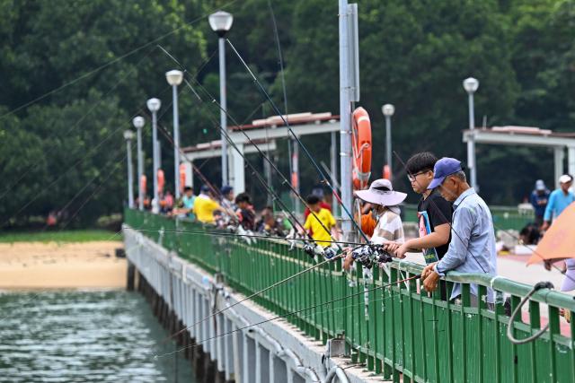 Anglers fish from a jetty at East Coast Park in Singapore on June 11, 2026. (Photo by Roslan RAHMAN / AFP)