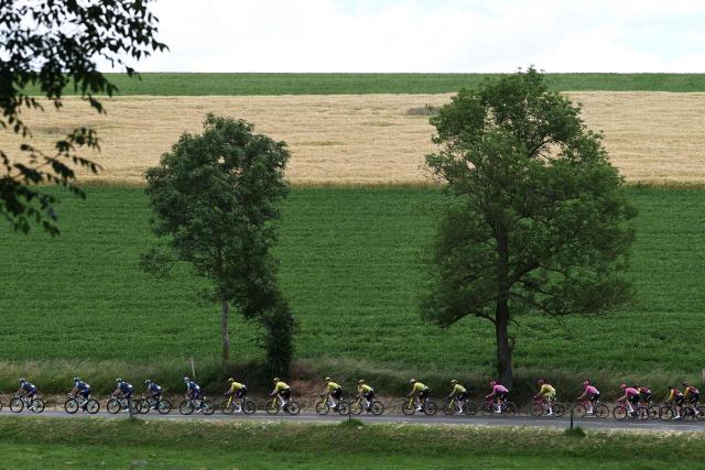 The pack of riders cycles during the 5th stage of the Tour Auvergne-Rhone-Alpes cycling race (formerly known as the Criterium du Dauphine), 195,8km between Saint-Chamond and Villars-les-Dombes, central France, on June 11, 2026. (Photo by Anne-Christine POUJOULAT / AFP)