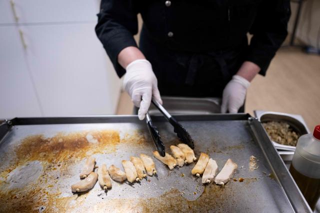 (FILES) A chef cooks some plant-based meat substitute at the newly-unveiled Umiami factory which produces vegetable-based meat substitutes, in Duppigheim, eastern France, on March 18, 2024. Swap Food, a company specialising in plant-based meat substitutes, has been placed in compulsory liquidation, its chief executive announced on June 11, 2026, citing slower-than-expected growth in the sector. (Photo by SEBASTIEN BOZON / AFP)