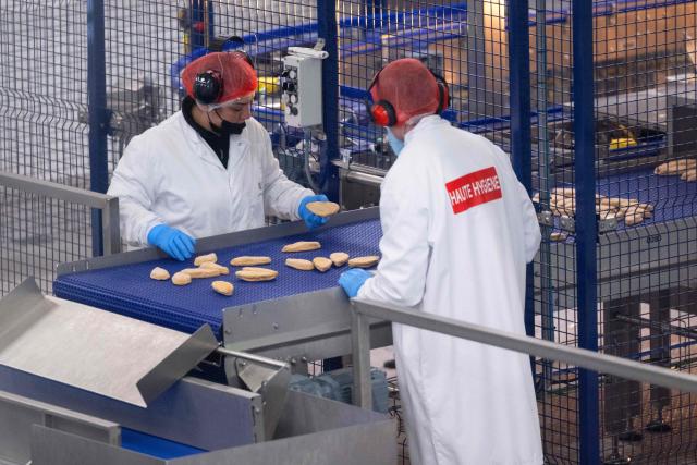 (FILES) Employees of the newly-unveiled Umiami factory which produces vegetable-based meat substitutes, control product output at a conveyor belt after the freezing process, in Duppigheim, eastern France, on March 18, 2024. Swap Food, a company specialising in plant-based meat substitutes, has been placed in compulsory liquidation, its chief executive announced on June 11, 2026, citing slower-than-expected growth in the sector. (Photo by SEBASTIEN BOZON / AFP)