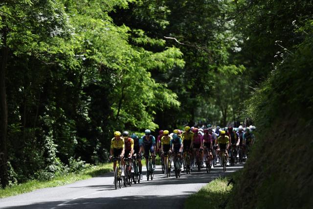 The pack of riders cycles during the 5th stage of the Tour Auvergne-Rhone-Alpes cycling race (formerly known as the Criterium du Dauphine), 195,8km between Saint-Chamond and Villars-les-Dombes, central France, on June 11, 2026. (Photo by Anne-Christine POUJOULAT / AFP)