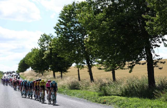 The pack of riders cycles during the 5th stage of the Tour Auvergne-Rhone-Alpes cycling race (formerly known as the Criterium du Dauphine), 195,8km between Saint-Chamond and Villars-les-Dombes, central France, on June 11, 2026. (Photo by Anne-Christine POUJOULAT / AFP)