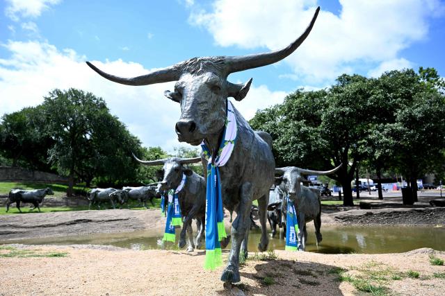 The cattle drive sculpture by artist Robert Summers, is pictured with scarves during the FIFA 2026 world cup at Pioneer Plaza in Dallas, Texas on June 11, 2026. (Photo by Paul ELLIS / AFP)