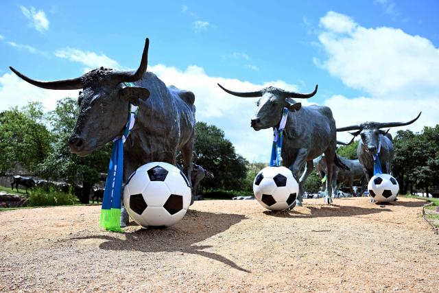 The cattle drive sculpture by artist Robert Summers, is pictured with footballs and scarves during the FIFA 2026 world cup at Pioneer Plaza in Dallas, Texas on June 11, 2026. (Photo by Paul ELLIS / AFP)