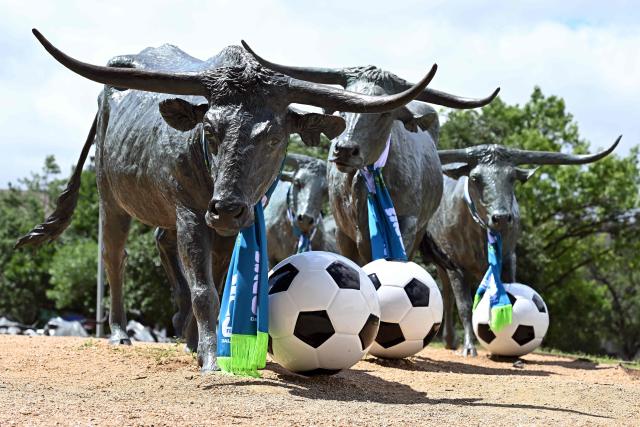 The cattle drive sculpture by artist Robert Summers, is pictured with footballs and scarves during the FIFA 2026 world cup at Pioneer Plaza in Dallas, Texas on June 11, 2026. (Photo by Paul ELLIS / AFP)