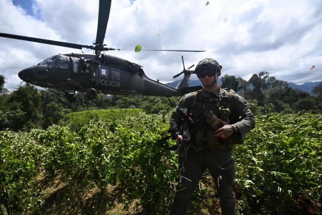 A Colombian police officer takes part in an eradication operation aimed at substituting illicit crops in the municipality of Villagarzon, Putumayo department, Colombia, on June 11, 2026. (Photo by Raul ARBOLEDA / AFP)