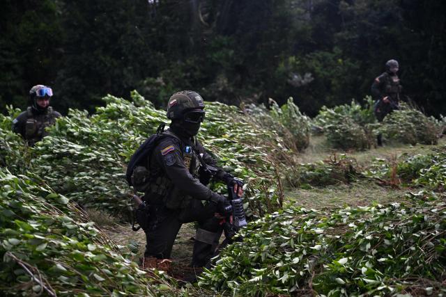 Colombian police officers take part in an eradication operation aimed at substituting illicit crops in the municipality of Villagarzon, Putumayo department, Colombia, on June 11, 2026. (Photo by Raul ARBOLEDA / AFP)