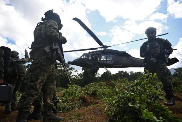 Colombian police officers take part in an eradication operation aimed at substituting illicit crops in the municipality of Villagarzon, Putumayo department, Colombia, on June 11, 2026. (Photo by Raul ARBOLEDA / AFP)