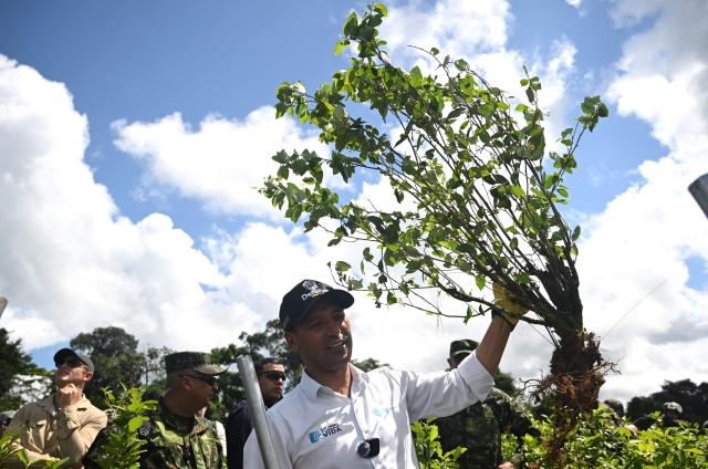 Colombian Defense Minister Pedro Sanchez (C) takes part in an eradication operation aimed at substituting illicit crop in the municipality of Villagarzon, Putumayo department, Colombia, on June 11, 2026. (Photo by Raul ARBOLEDA / AFP)