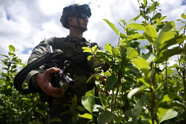 A Colombian police officer takes part an eradication operation aimed at substituting illicit crop in the municipality of Villagarzon, Putumayo department, Colombia, on June 11, 2026. (Photo by Raul ARBOLEDA / AFP)