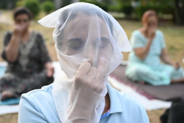People perform yoga at a garden in Amritsar on June 12, 2026. (Photo by Narinder NANU / AFP)