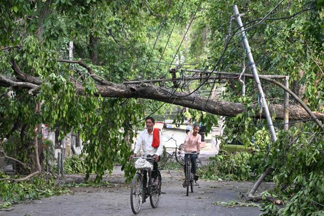 Men ride their bicycles underneath fallen trees after a storm in Amritsar on June 12, 2026. (Photo by Narinder NANU / AFP)