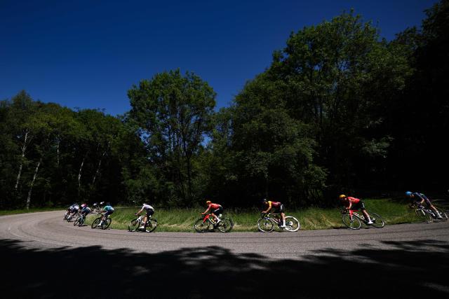 The pack of riders (peloton) cycles during the 6th stage of the Tour Auvergne-Rhone-Alpes cycling race (formerly known as the Criterium du Dauphine), 182,3km between Saint-Vulbas and Crest-Voland in the French Alps on June 12, 2026. (Photo by Anne-Christine POUJOULAT / AFP)