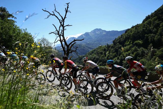 The pack of riders (peloton) cycle in the ascent of Cote d'Hery-sur-Ugine during the 6th stage of the Tour Auvergne-Rhone-Alpes cycling race (formerly known as the Criterium du Dauphine), 182,3km between Saint-Vulbas and Crest-Voland in the French Alps on June 12, 2026. (Photo by Anne-Christine POUJOULAT / AFP)