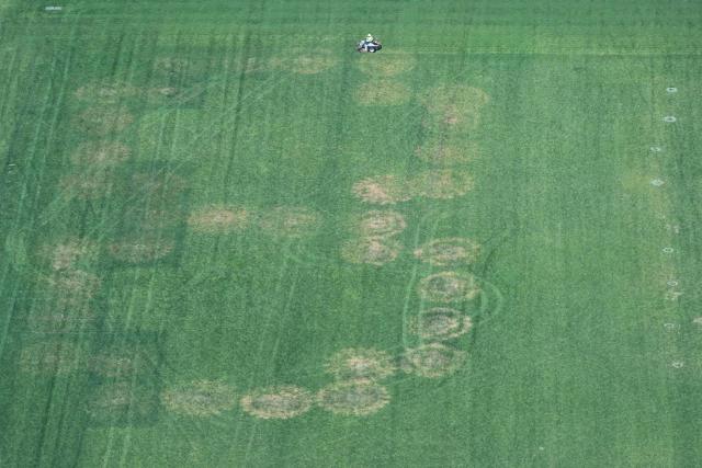 The number "8" is seen on the lawn on the National Mall in Washington, DC, on June 12, 2026. US Park Police opened an investigation on June 11 into giant markings of the numbers "8647" -- which have been associated with opposition to President Donald Trump -- on the grass of the National Mall. A spokesperson for the Department of the Interior, which manages the National Mall in downtown Washington, described the incident as "deranged vandalism" and said it "will not be tolerated." (Photo by Anne LEBRETON / AFP)