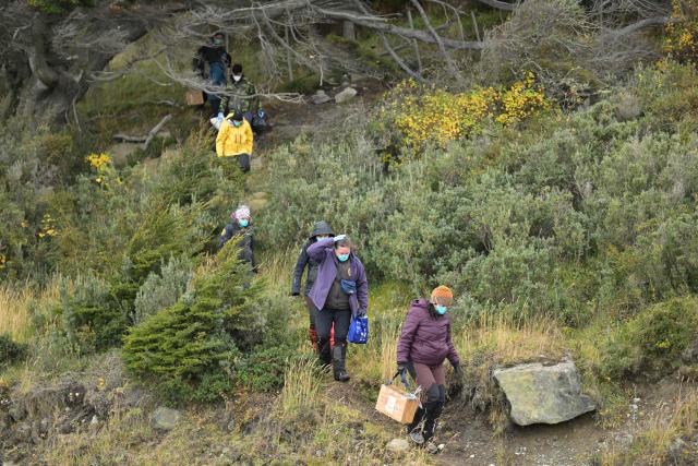 (FILES) Scientists of the Malbran institute, members of Health Minister of Argentine province of Tierra del Fuego and members of National Park Administration, walk leaving the forest after collecting mice from the traps near Ushuaia, Argentina on May 18, 2026. Scientists were unable to find in Argentina's Mendoza province (west) any specimens of the rodent that carries the Andes strain of hantavirus, as part of the investigation into the outbreak aboard the cruise ship MV Hondius, Argentina's Ministry of Health reported on June 12, 2026. (Photo by JUAN MABROMATA / AFP)