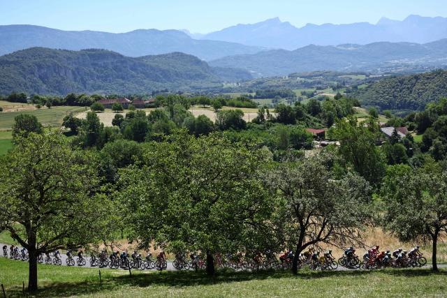 The pack of riders (peloton) cycles during the 7th stage of the Tour Auvergne-Rhone-Alpes cycling race (formerly known as the Criterium du Dauphine), 133,6km between La Bridoire and Grand Colombier in the French Alps on June 13, 2026. (Photo by Anne-Christine POUJOULAT / AFP)