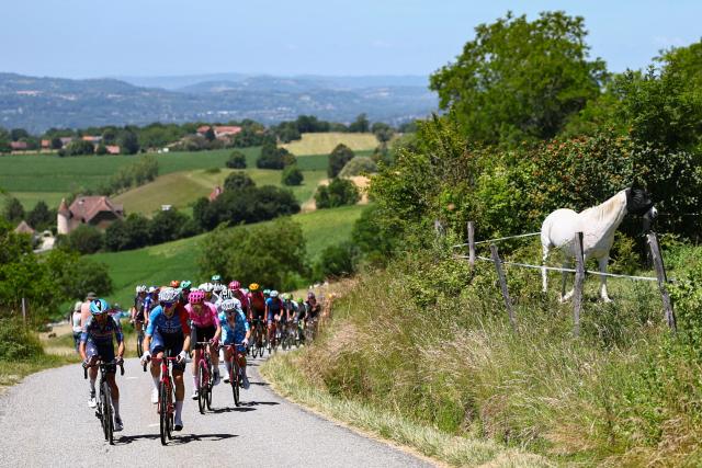 The pack of riders (peloton) cycle past a horse along the roadside during the 7th stage of the Tour Auvergne-Rhone-Alpes cycling race (formerly known as the Criterium du Dauphine), 133,6km between La Bridoire and Grand Colombier in the French Alps on June 13, 2026. (Photo by Anne-Christine POUJOULAT / AFP)