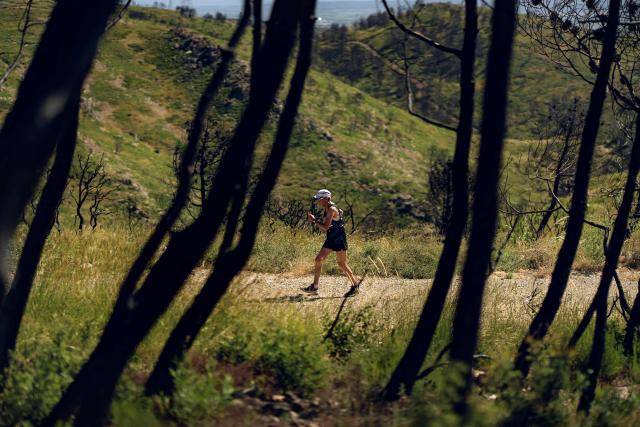 A man runs through a burned forest during the so called "ash trail" in Bages, southwest France, on June 14, 2026. The trail, organised by three students from Narbonne and known as the ‘Trail des Cendres’, takes place to pay tribute to the area devastated by wildfires last summer. (Photo by Idriss Bigou-Gilles / AFP)