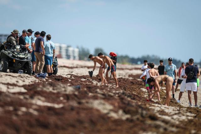 Portugal's forwards #18 Pedro Neto (C left) and #11 Joao Felix leave the water after a swim  next to the hotel where the team is staying for the World Cup 2026 in Palm Beach, Florida on June 14, 2026. (Photo by PATRICIA DE MELO MOREIRA / AFP)