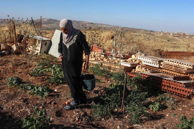 A Palestinian woman works at her home garden in the village of Beitin, northeast of Ramallah in the occupied West Bank, on June 14, 2026. (Photo by Zain JAAFAR / AFP)