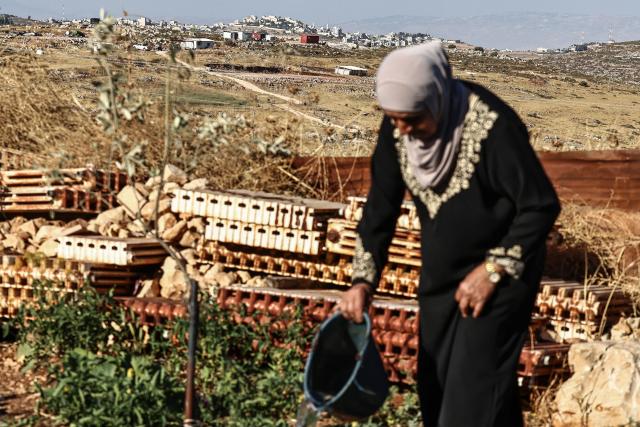 A Palestinian woman works at her home garden in the village of Beitin, northeast of Ramallah in the occupied West Bank, on June 14, 2026, as in the background are pictured a new Israeli outpost (front) and the Palestinian village of Taybeh (back). (Photo by Zain JAAFAR / AFP)