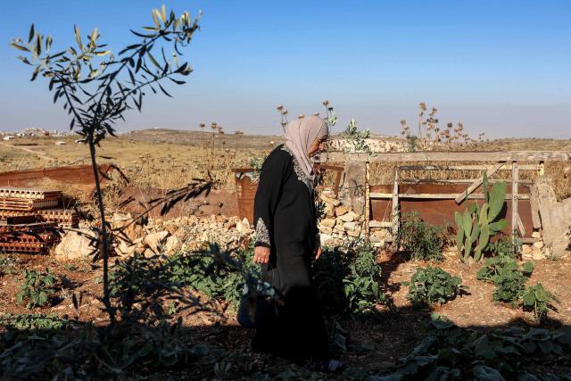 A Palestinian woman works at her home garden in the village of Beitin, northeast of Ramallah in the occupied West Bank, on June 14, 2026. (Photo by Zain JAAFAR / AFP)