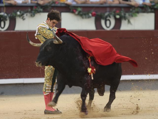 Spanish bullfighter Victor Hernandez performs a pass to a bull during a charity bullfight at Las Ventas bullring in Madrid on June 14, 2026. (Photo by ALBERTO SIMON / AFP)