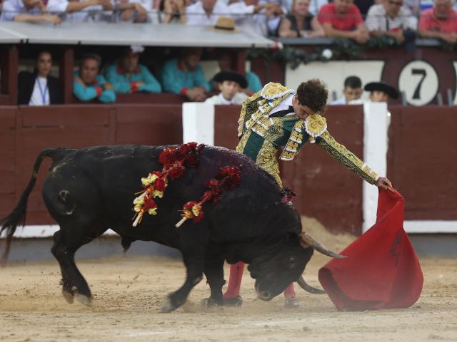 Spanish bullfighter Victor Hernandez performs a pass to a bull during a charity bullfight at Las Ventas bullring in Madrid on June 14, 2026. (Photo by ALBERTO SIMON / AFP)