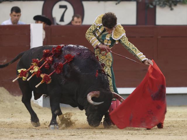 Spanish bullfighter Victor Hernandez performs a pass to a bull during a charity bullfight at Las Ventas bullring in Madrid on June 14, 2026. (Photo by ALBERTO SIMON / AFP)