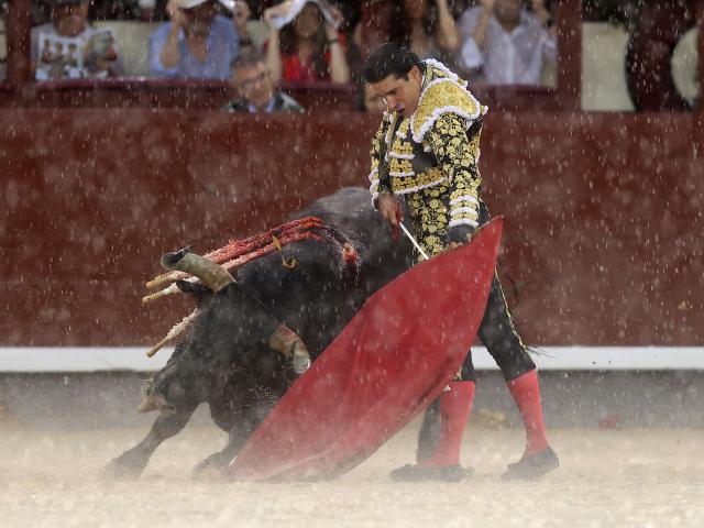 Spanish bullfighter Alejandro Talavante performs a pass to a bull during the charity bullfight at Las Ventas bullring in Madrid on June 14, 2026. (Photo by ALBERTO SIMON / AFP)