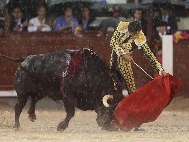 Peruvian bullfighter Andres Roca Rey performs a pass to a bull during the charity bullfight at Las Ventas bullring in Madrid on June 14, 2026. (Photo by ALBERTO SIMON / AFP)