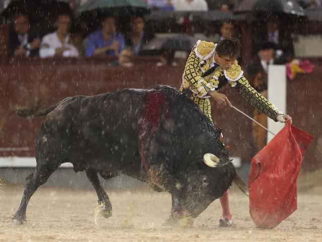 Peruvian bullfighter Andres Roca Rey performs a pass to a bull during the charity bullfight at Las Ventas bullring in Madrid on June 14, 2026. (Photo by ALBERTO SIMON / AFP)