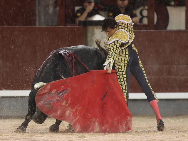 Peruvian bullfighter Andres Roca Rey performs a pass to a bull during the extraordinary charity bullfight at Las Ventas bullring in Madrid on June 14, 2026. (Photo by ALBERTO SIMON / AFP)